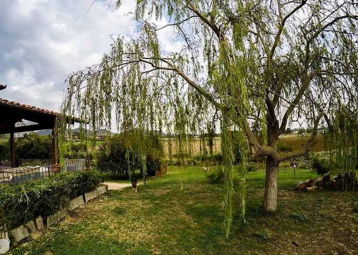 Villa Le Cascatelle Cerveteri